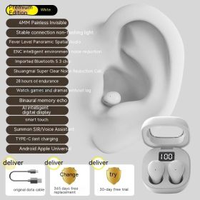 SK19 Private Model High Endurance Bluetooth Headset (Option: SK19 White)